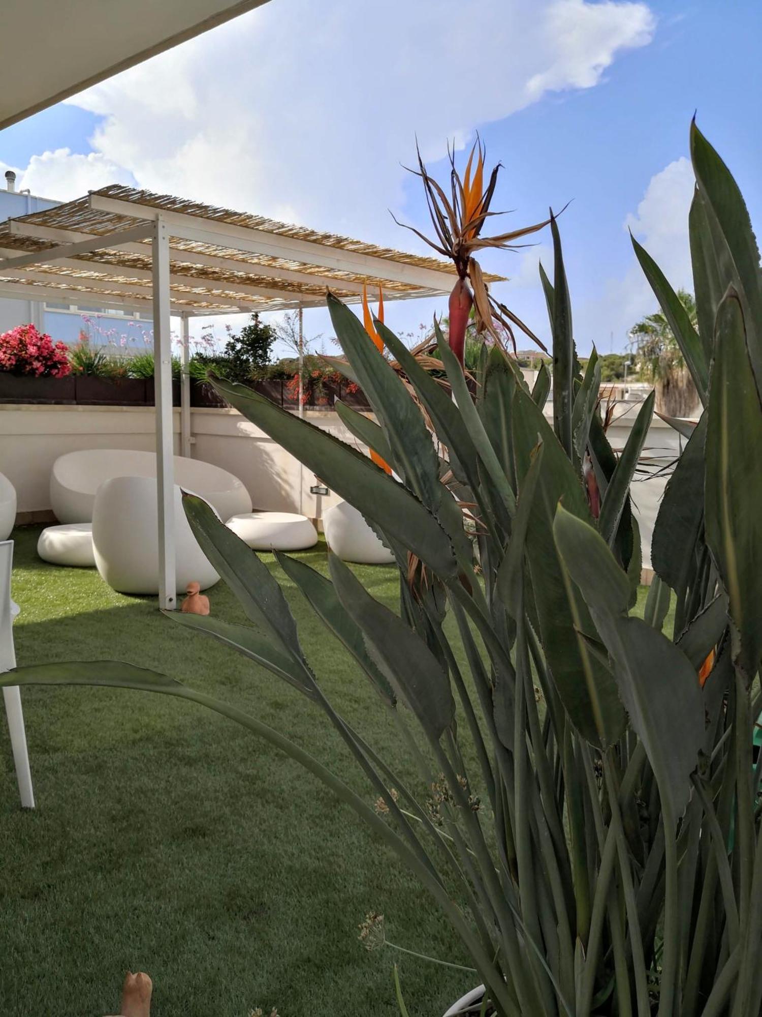 Bed and Breakfast La Casa Del Turista Gallipoli Exterior foto